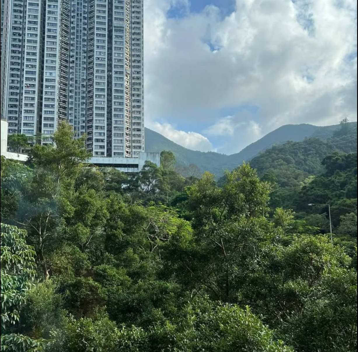鰂魚涌 康景花園 A座 低層 1室 - main